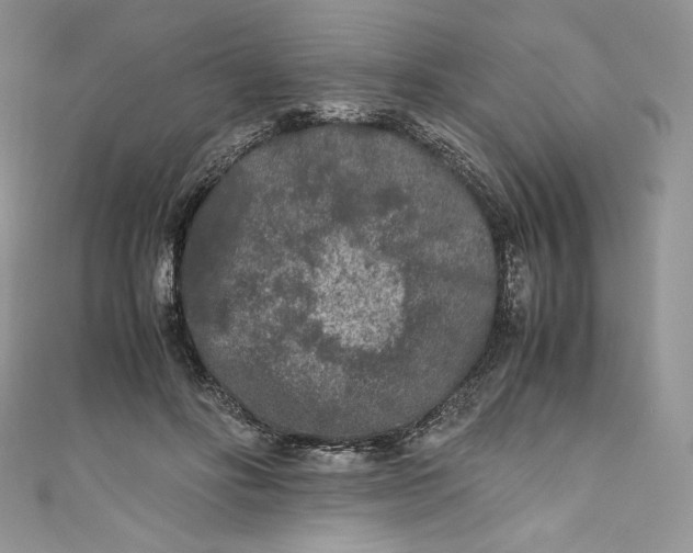 X0000111010502200907060958