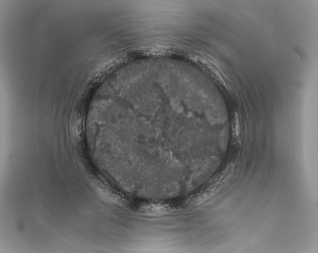 X0000111010503200907060958