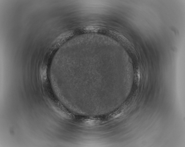 X0000111010504200907060958