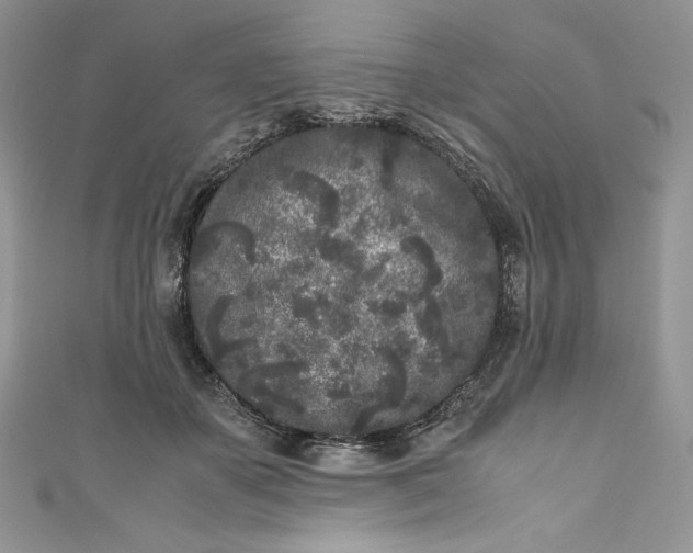 X0000111010507200907060958