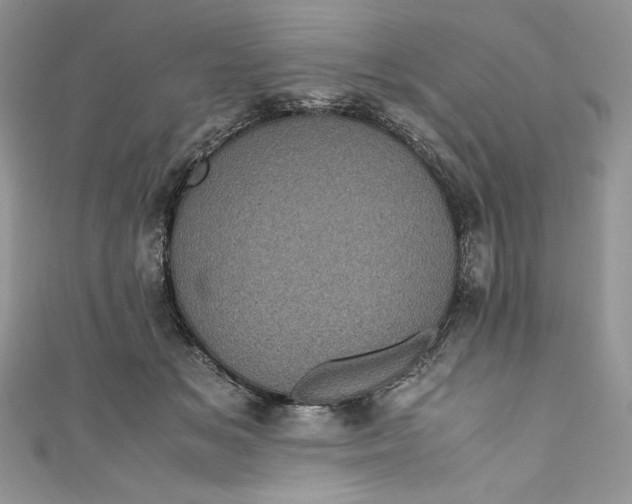 X0000111010509200907060958