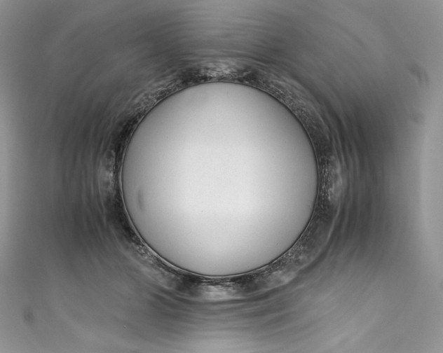 X0000111010510200907060958