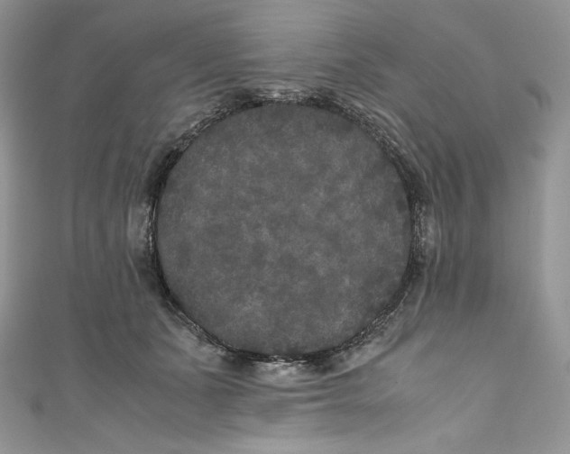 X0000111010511200907060958