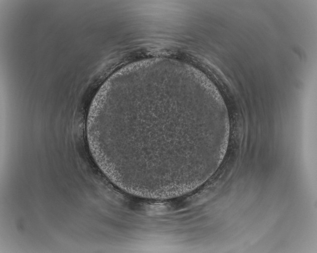 X0000111010513200907060958