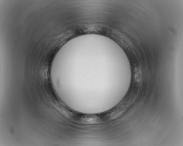 X0000111010514200907060958