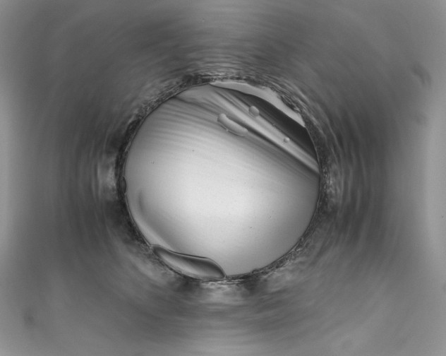 X0000111010516200907060958