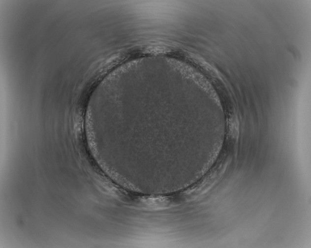 X0000111010517200907060958