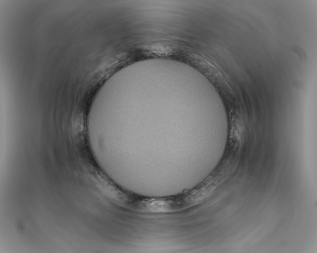 X0000111010518200907060958