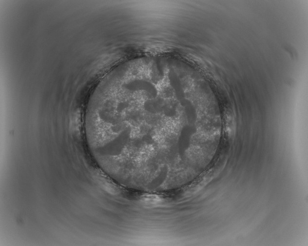 X0000111010519200907060958