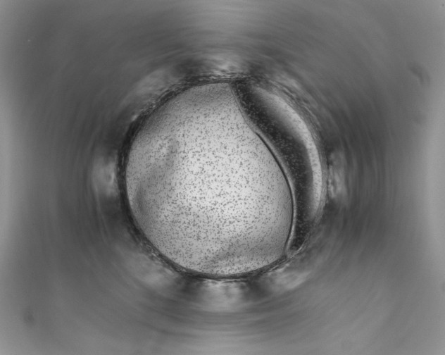 X0000111010520200907060958