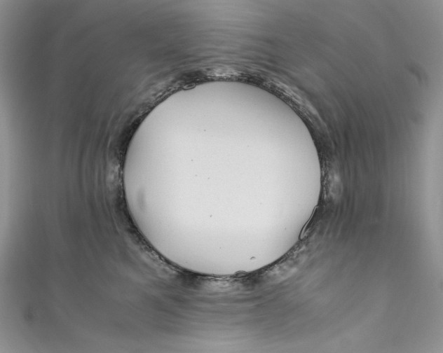 X0000111010521200907060958