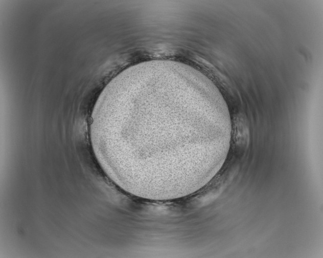 X0000111010523200907060958