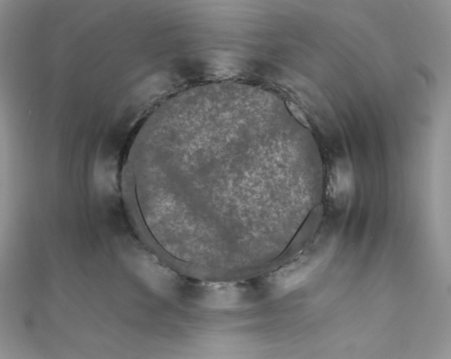 X0000111010524200907060958