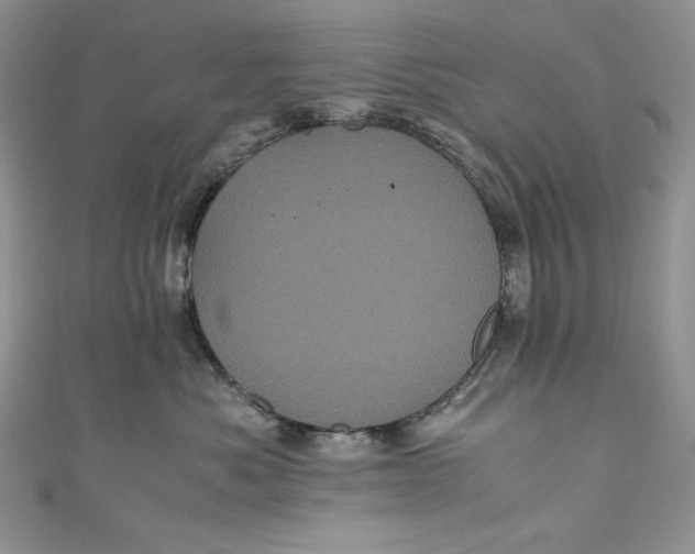 X0000111010525200907060958