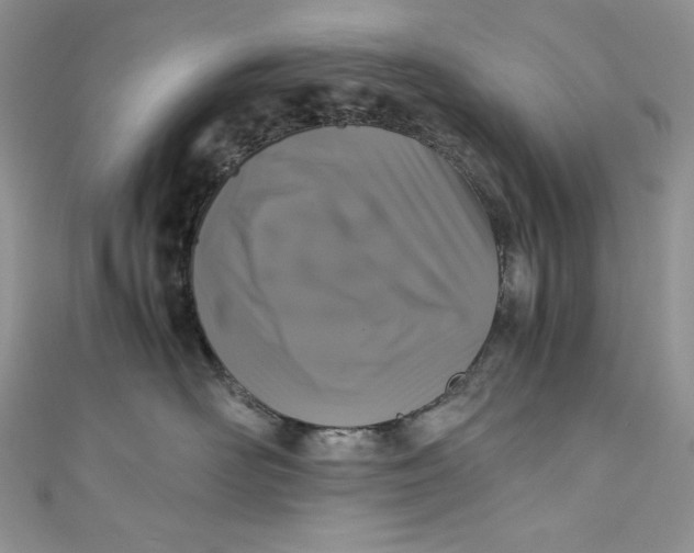 X0000111010526200907060958