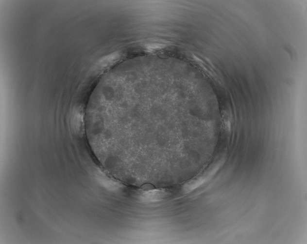 X0000111010527200907060958