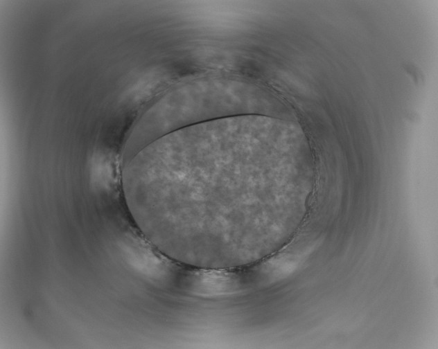 X0000111010528200907060958