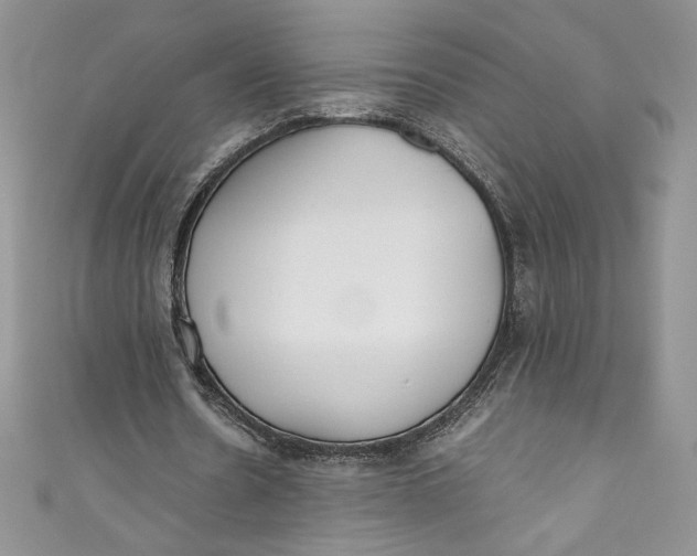 X0000111010530200907060957