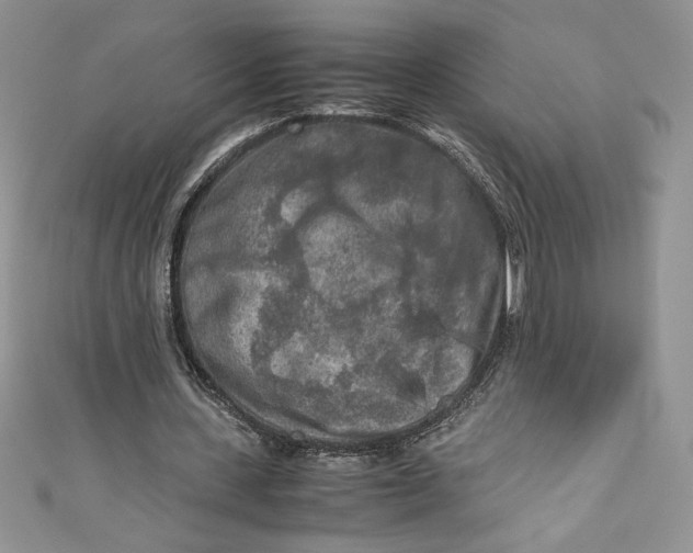 X0000111010531200907060957