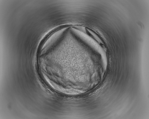 X0000111010532200907060957