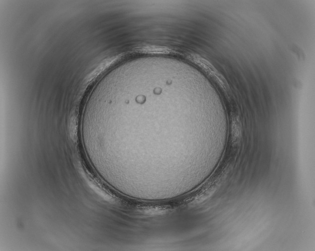 X0000111010533200907060957