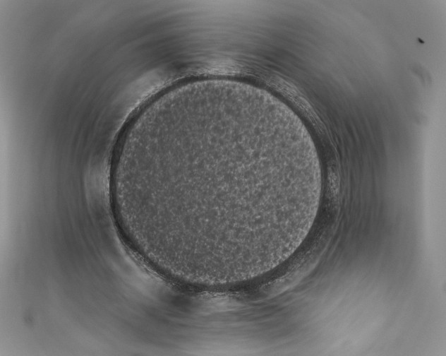 X0000111010534200907060957