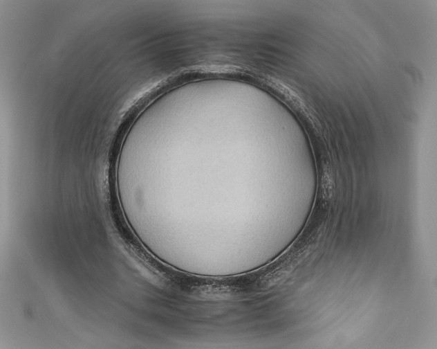 X0000111010535200907060957