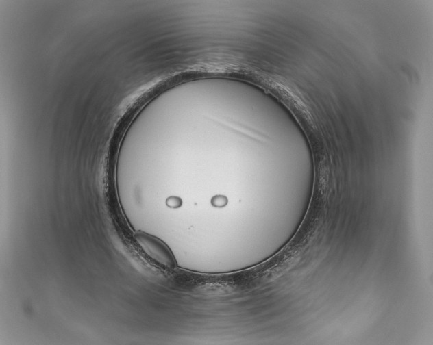 X0000111010536200907060957