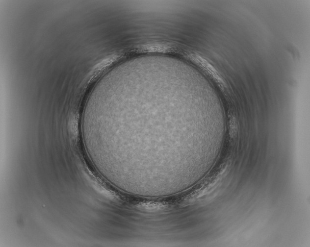 X0000111010537200907060957