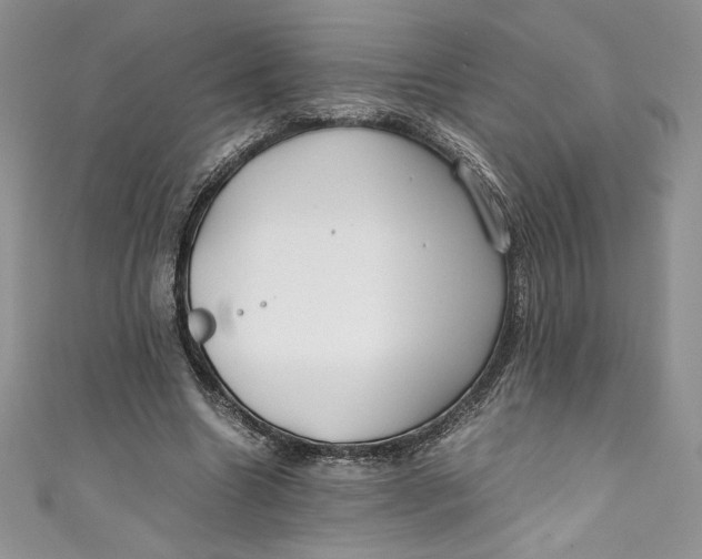X0000111010538200907060957