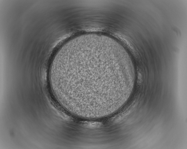 X0000111010539200907060957