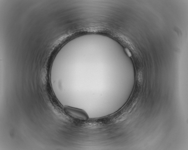 X0000111010540200907060957