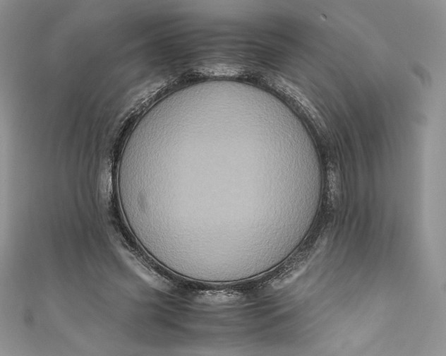 X0000111010541200907060957