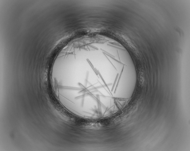 X0000111010543200907060957