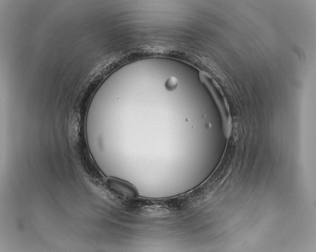 X0000111010544200907060957