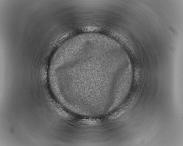 X0000111010545200907060957