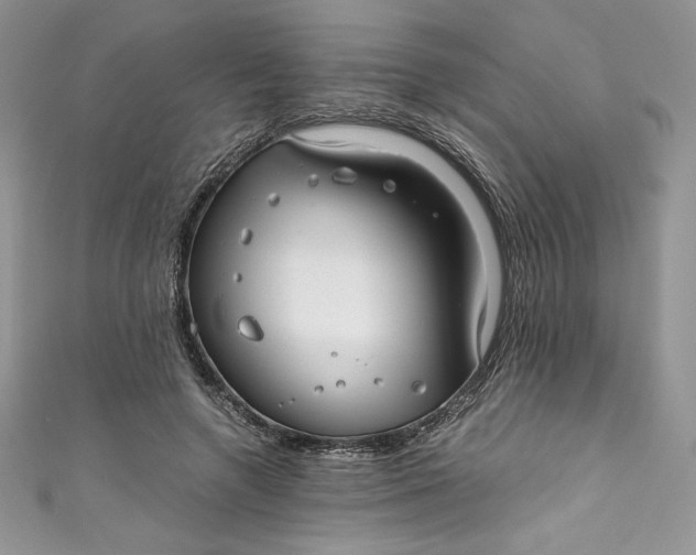 X0000111010546200907060957