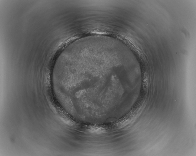 X0000111010547200907060957