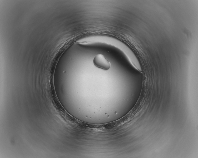 X0000111010548200907060957