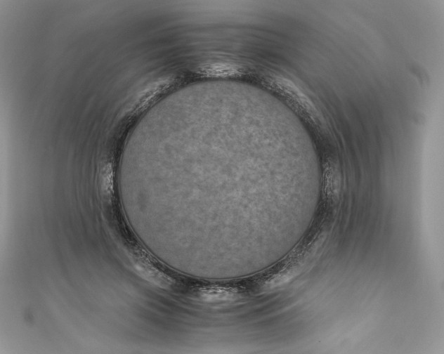X0000111010549200907060957