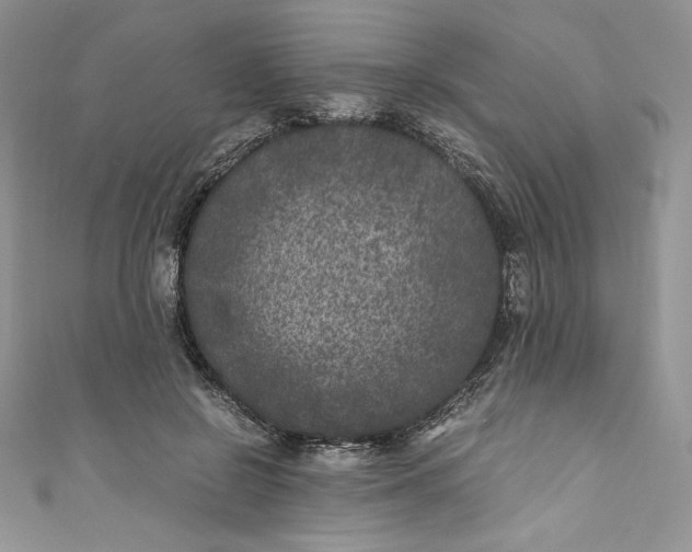 X0000111010550200907060957