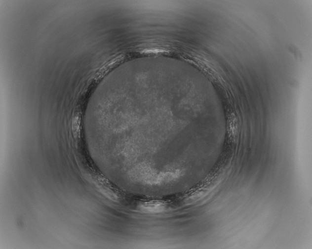 X0000111010551200907060957