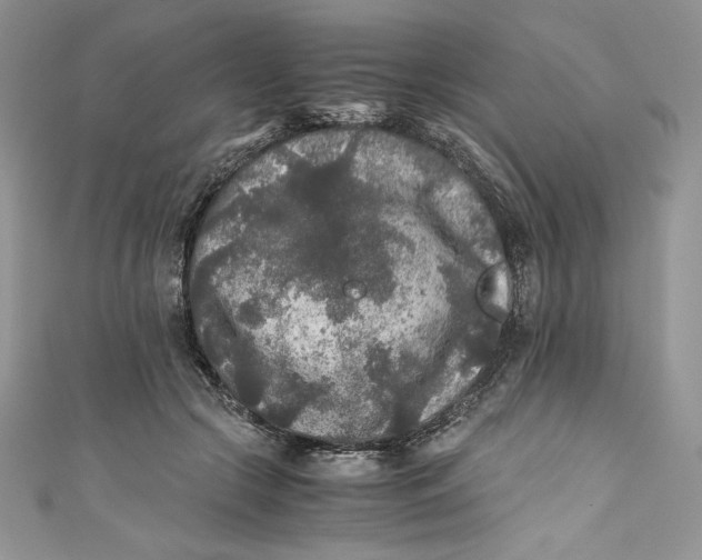 X0000111010553200907060957