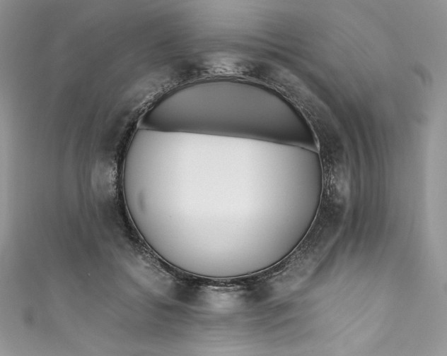 X0000111010556200907060957