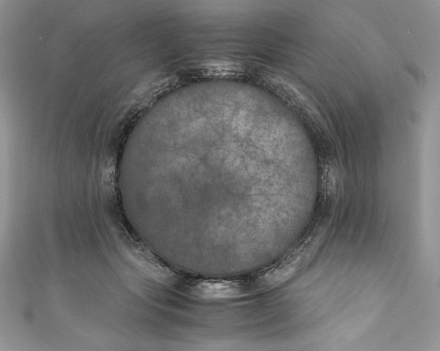 X0000111010557200907060957