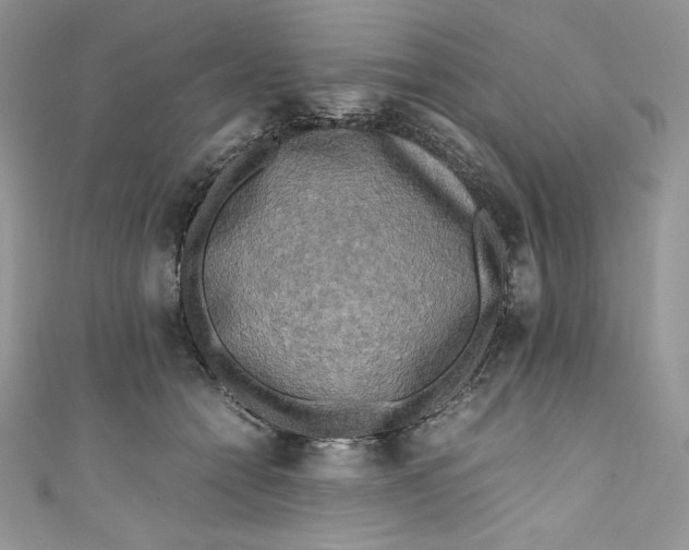 X0000111010558200907060957