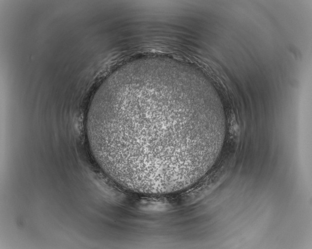 X0000111010559200907060957