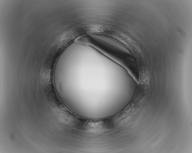 X0000111010560200907060957