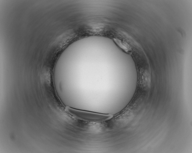X0000111010562200907060957