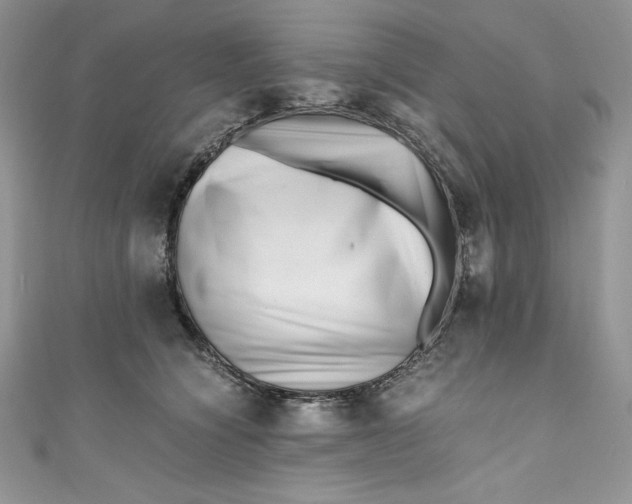 X0000111010564200907060957